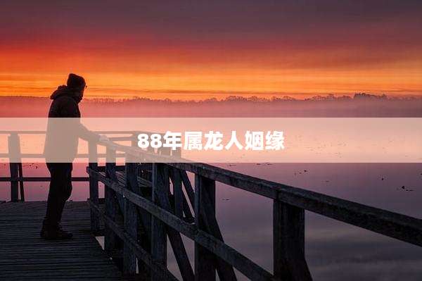 88年属龙人姻缘