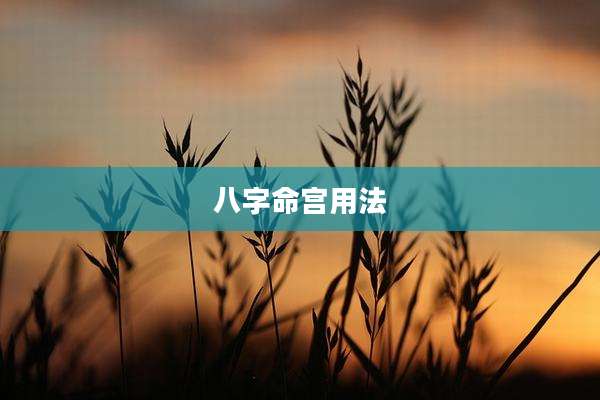 八字命宫用法