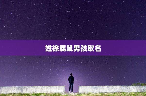 姓徐属鼠男孩取名