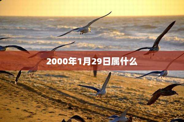 2000年1月29日属什么