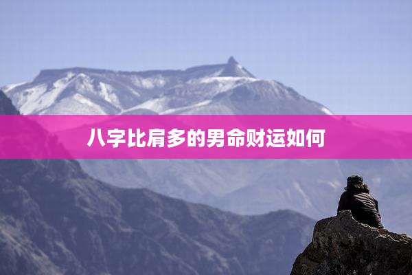 八字比肩多的男命财运如何