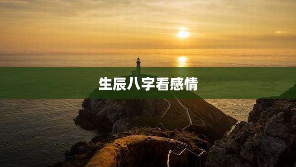 生辰八字看感情