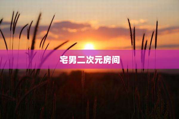 宅男二次元房间