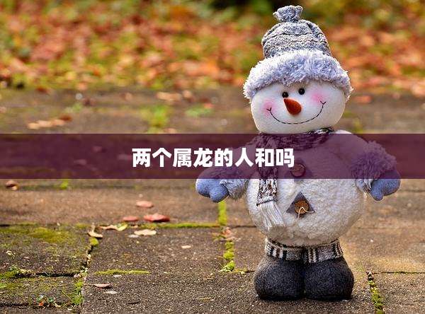 两个属龙的人和吗