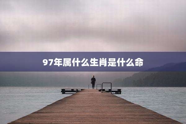 97年属什么生肖是什么命