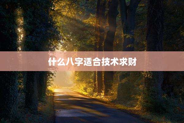 什么八字适合技术求财