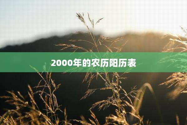 2000年的农历阳历表
