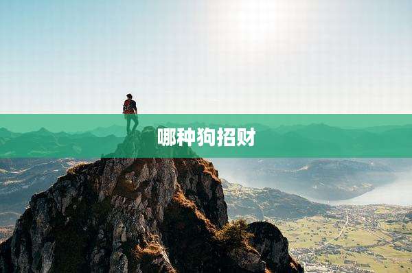 哪种狗招财