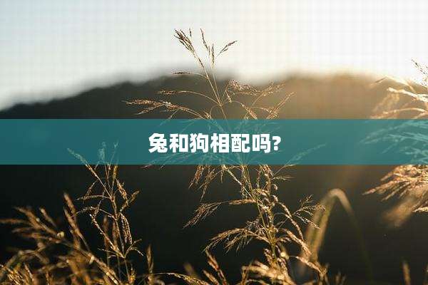 兔和狗相配吗?