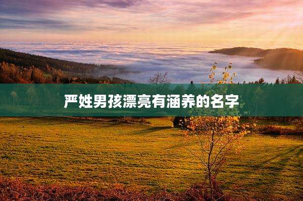 严姓男孩漂亮有涵养的名字