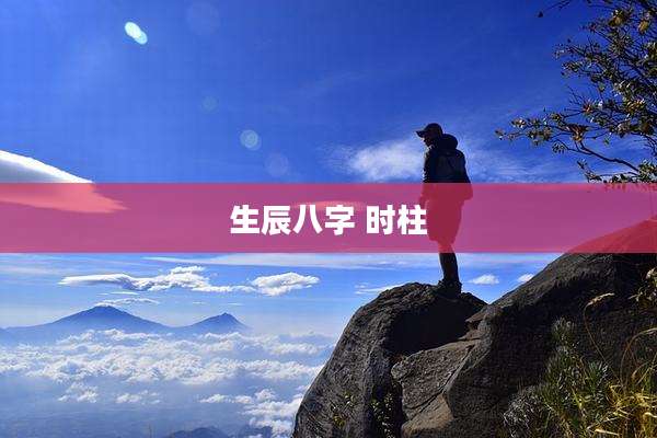 生辰八字 时柱