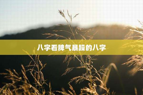 八字看脾气暴躁的八字