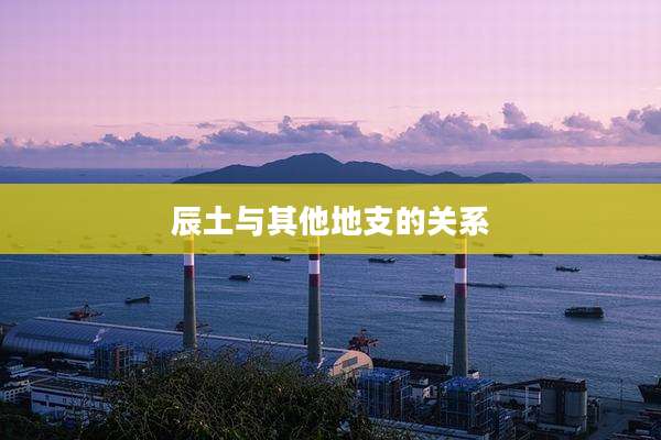 辰土与其他地支的关系