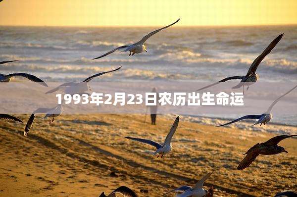 1993年2月23日农历出生命运