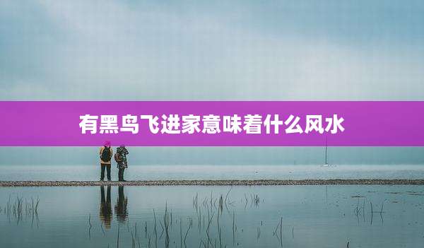 有黑鸟飞进家意味着什么风水