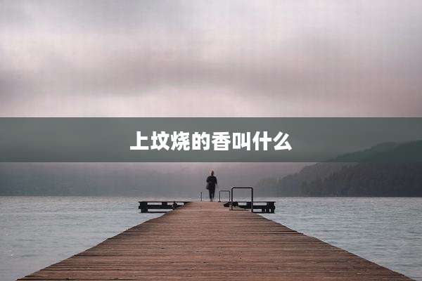 上坟烧的香叫什么