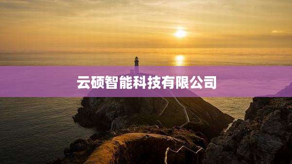 云硕智能科技有限公司