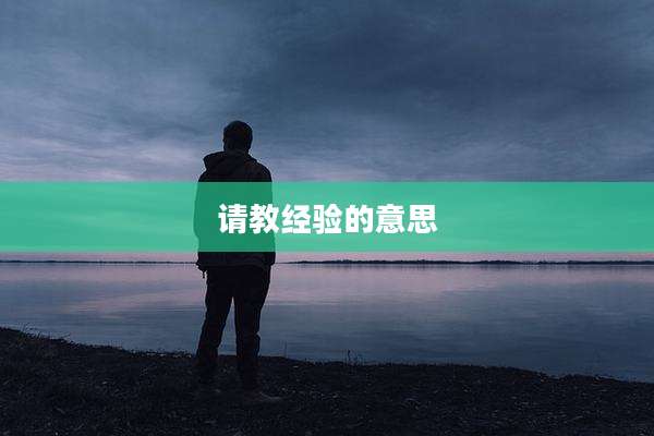 请教经验的意思