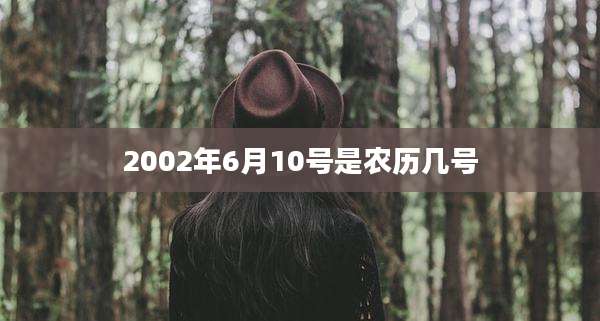 2002年6月10号是农历几号