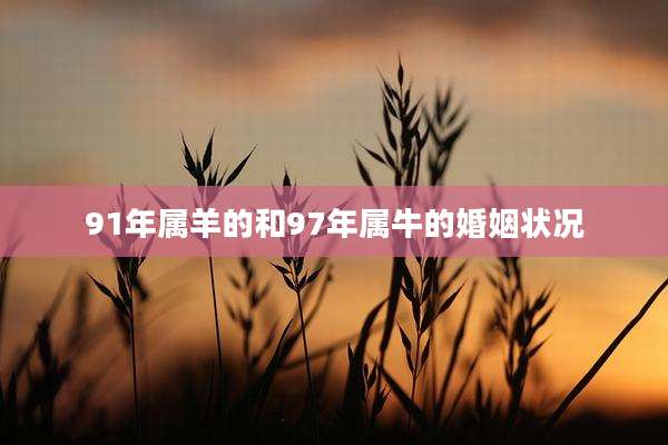 91年属羊的和97年属牛的婚姻状况