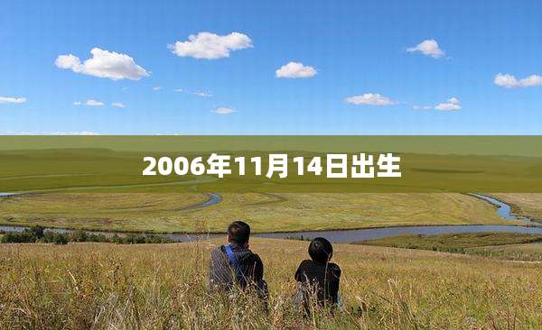 2006年11月14日出生
