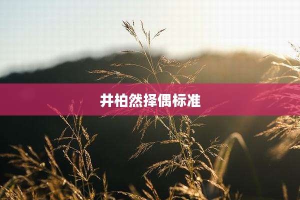 井柏然择偶标准