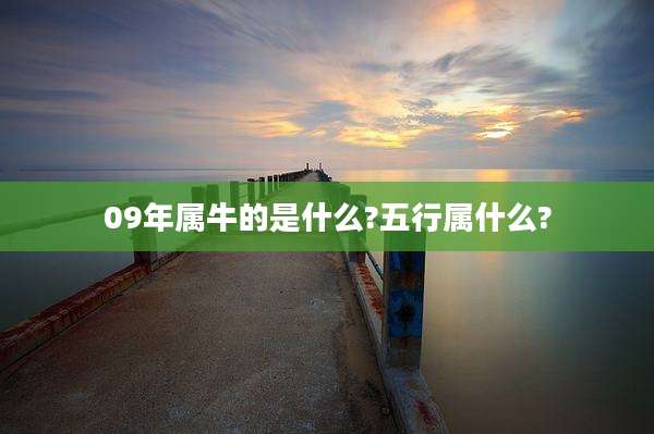 09年属牛的是什么?五行属什么?