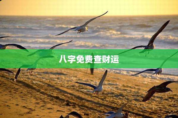 八字免费查财运