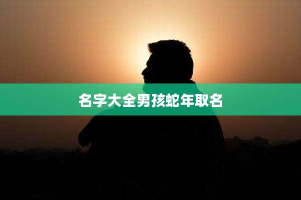 名字大全男孩蛇年取名