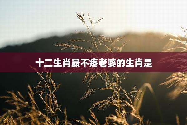 十二生肖最不疼老婆的生肖是