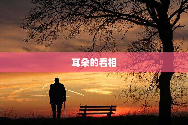 耳朵的看相