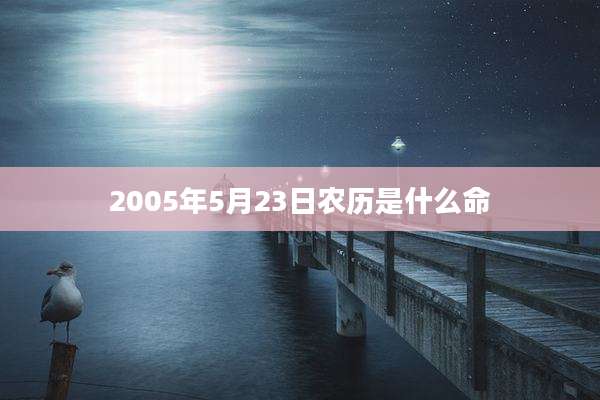 2005年5月23日农历是什么命