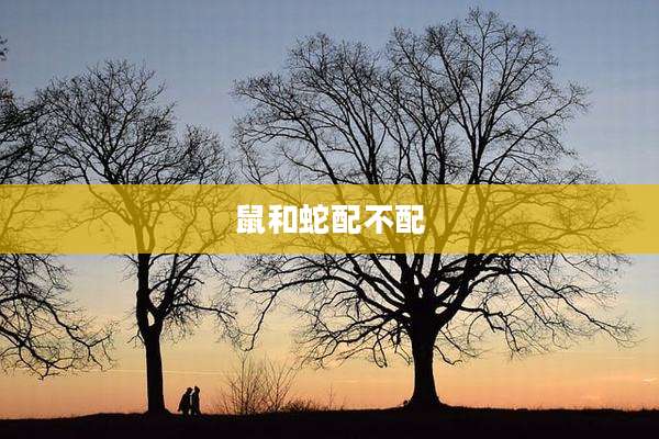 鼠和蛇配不配