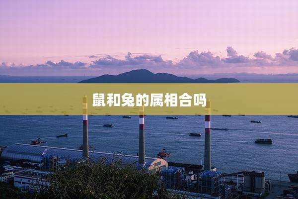 鼠和兔的属相合吗