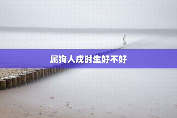 属狗人戌时生好不好