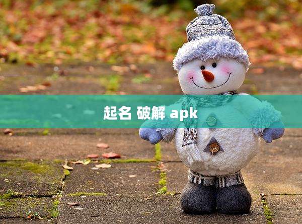 起名 破解 apk