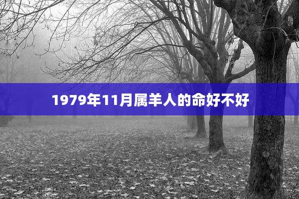 1979年11月属羊人的命好不好