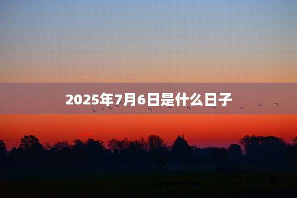 2025年7月6日是什么日子