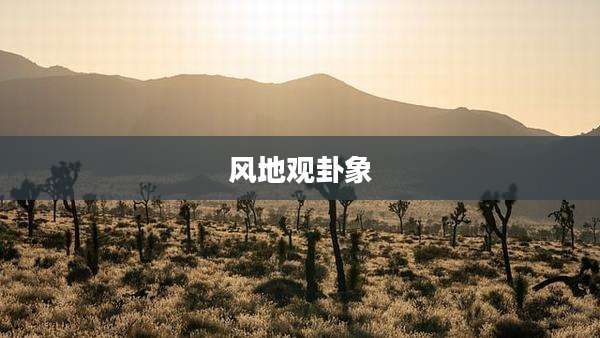 风地观卦象