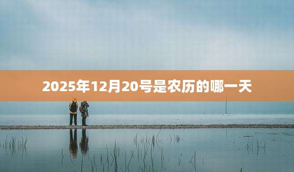 2025年12月20号是农历的哪一天
