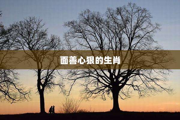 面善心狠的生肖