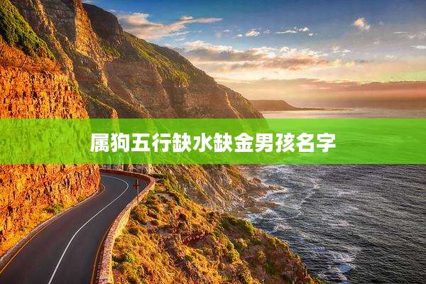 属狗五行缺水缺金男孩名字