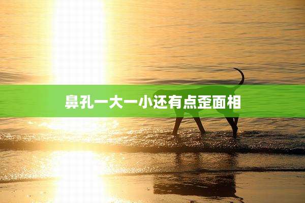 鼻孔一大一小还有点歪面相