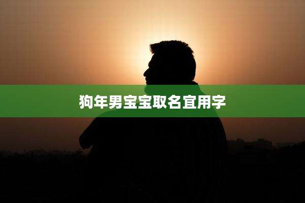 狗年男宝宝取名宜用字