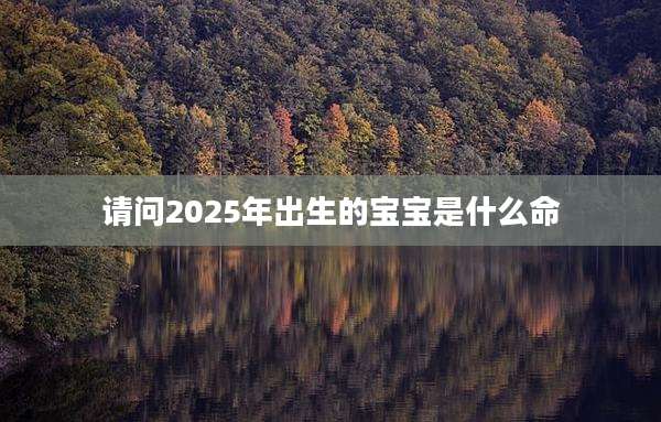 请问2025年出生的宝宝是什么命