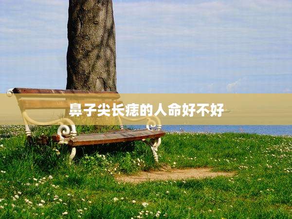 鼻子尖长痣的人命好不好