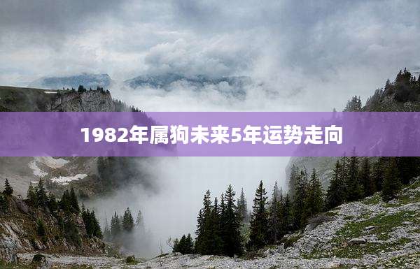 1982年属狗未来5年运势走向
