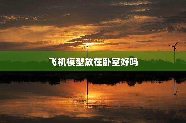 飞机模型放在卧室好吗