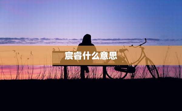 宸睿什么意思