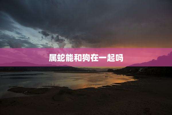 属蛇能和狗在一起吗